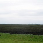 Minnesota Farm Field
