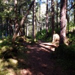 Trail to Eaglerock - Ernest Gruening Residence - Alaska State Historic Site, mile 24 Glacier Hwy
